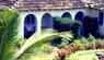 Goa Beach Resorts, Beach Resorts Goa, Beach Resorts in Goa, Beach Resorts of Goa,Welcome to Hotel Baia Do Sol baga beach ....goa.... tariff october 2001 to september 2002 period peak season Dec Jan Feb double room non ac Rs 950 double room ac Rs.1100/- double room non ac deluxe river front 1,700/- and for more details and price list please click here...