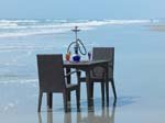 Beach VIew