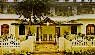 Banyan Tree Courtyard Candolim Beach Goa