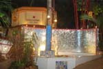 A Estrela Do Mar  Night