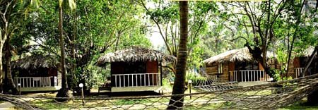 logcabins