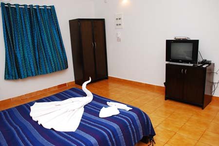 Deluxe Room View